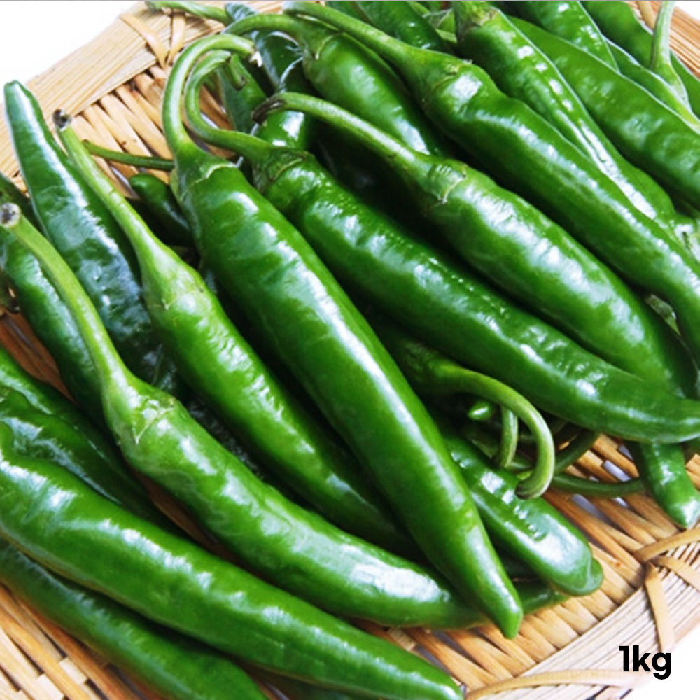 [경매선별농산물] 청양고추 1KG(특)