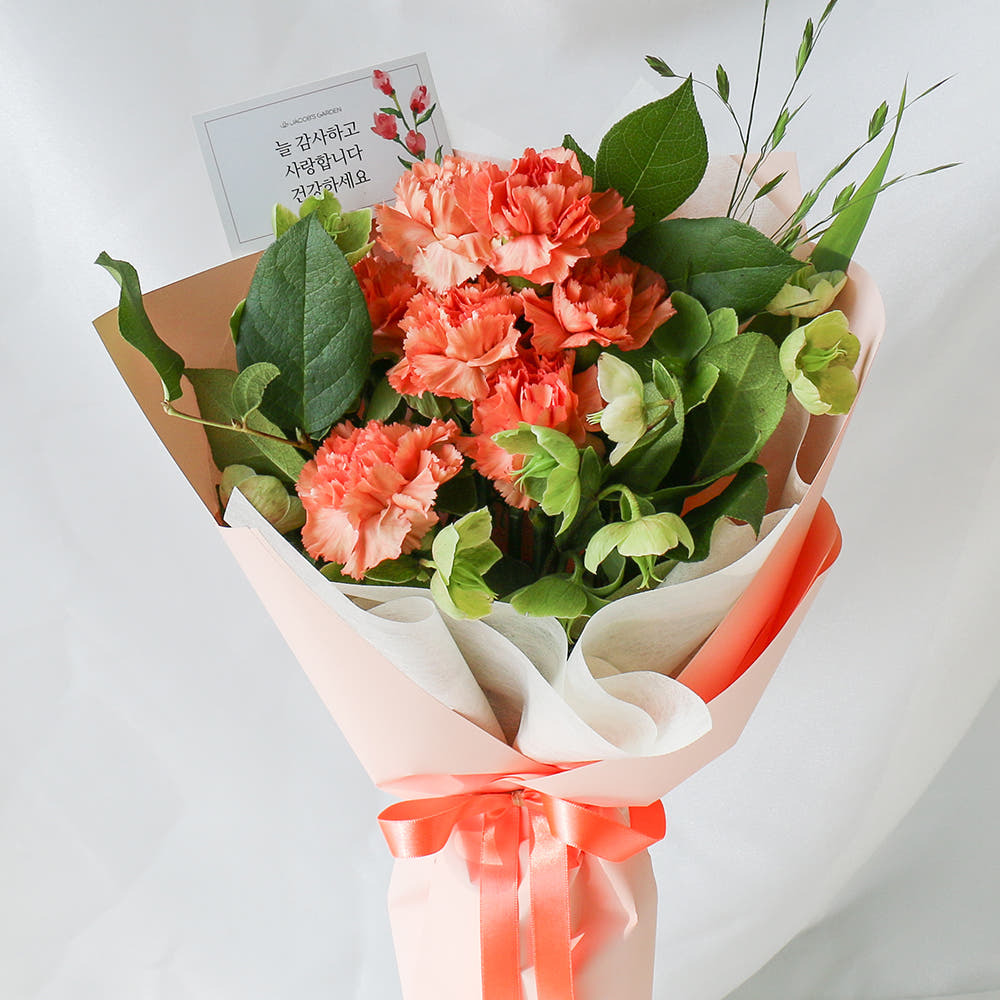 생화 카네이션 꽃다발 핑크