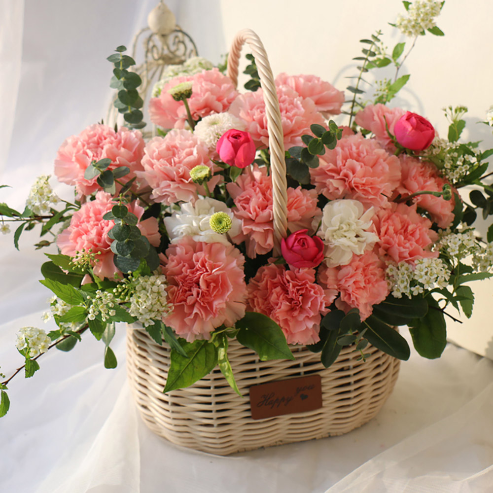생화 꽃바구니 카네이션 핑크 대