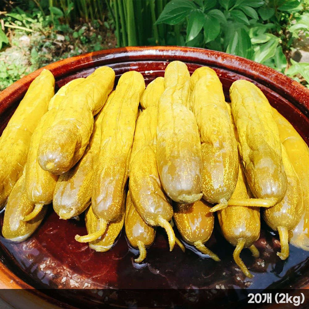 꼬독꼬독~한 식감에 여름 반찬으로 최고! 통오이지 20개 (2kg)