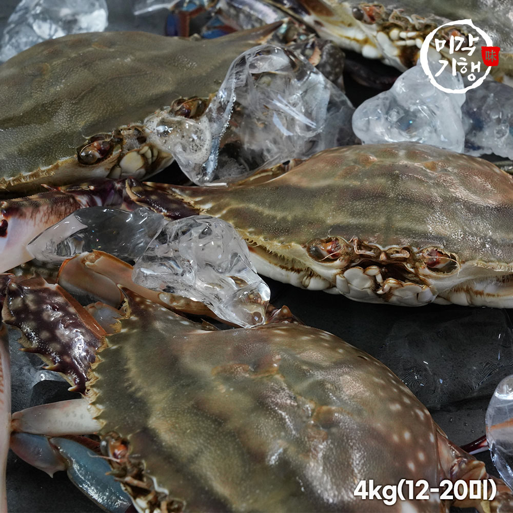 미각기행 제철 대박 활 숫꽃게 4kg(12-20미)