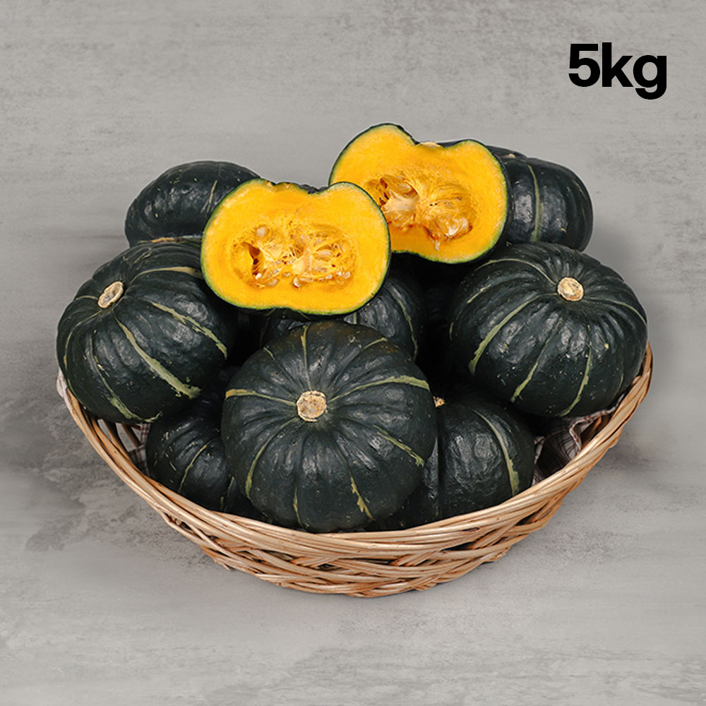 [햇땅] 제주 미니 밤호박 보우짱 정품 5kg