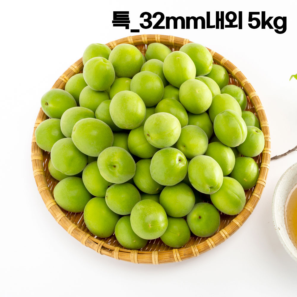 [햇땅] 지리산 청매실 특_32mm내외 5kg