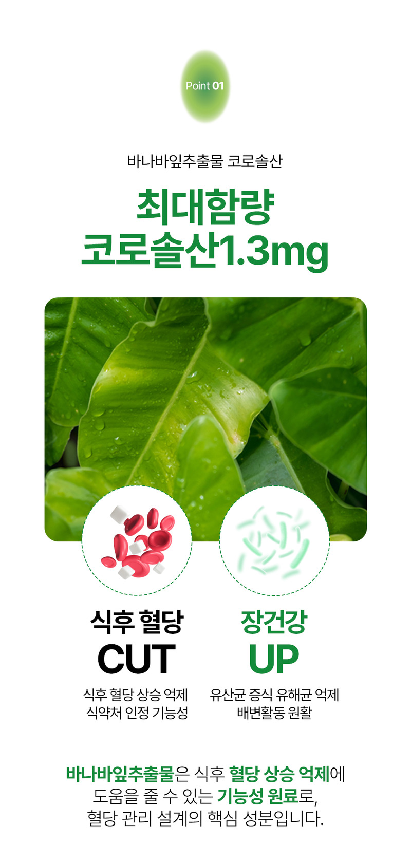[바지오] 포켓 혈당케어 바나바 500mg X 20정 상세 8
