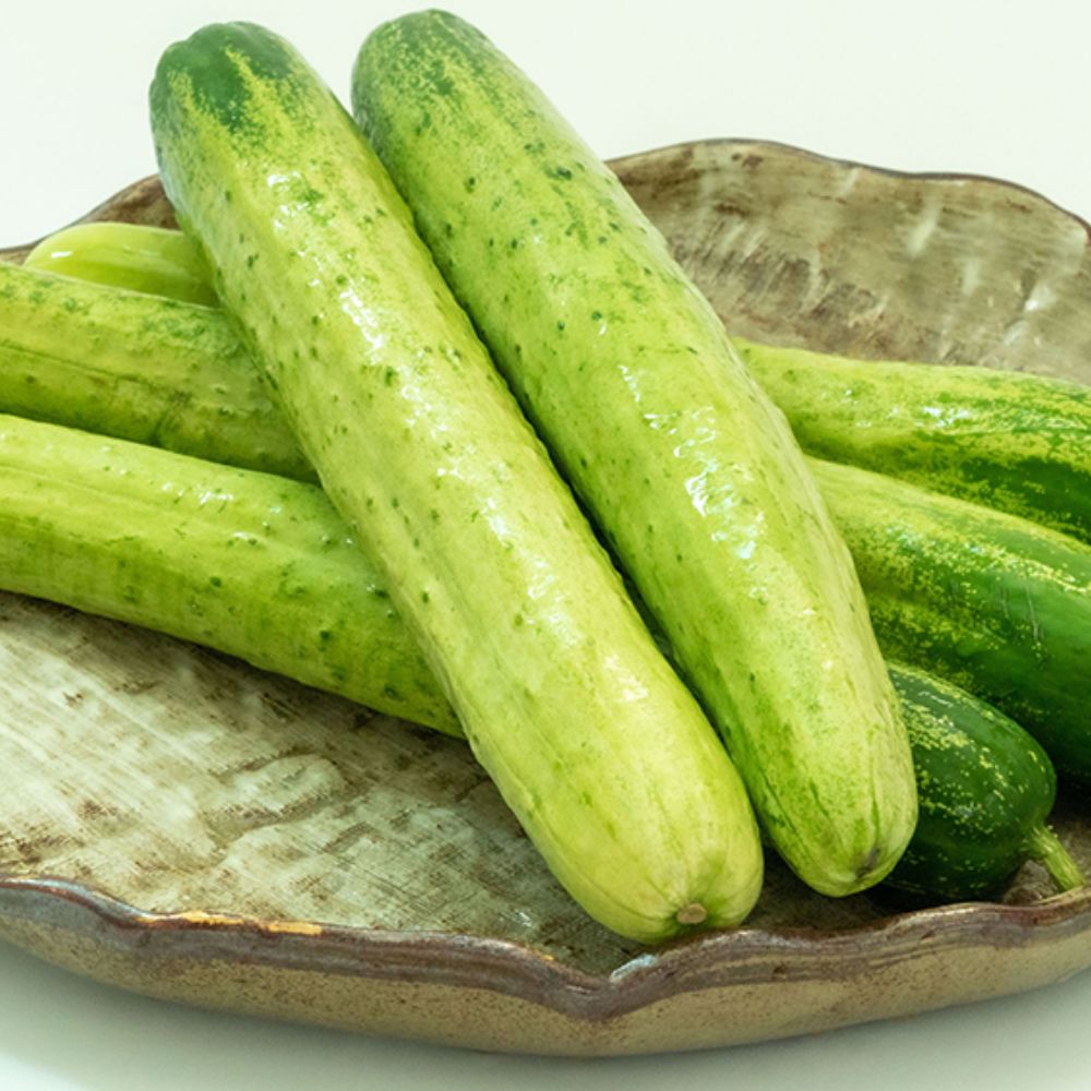 국내산 프리미엄 품종 특상품 백다다기 오이 3KG / 특상품