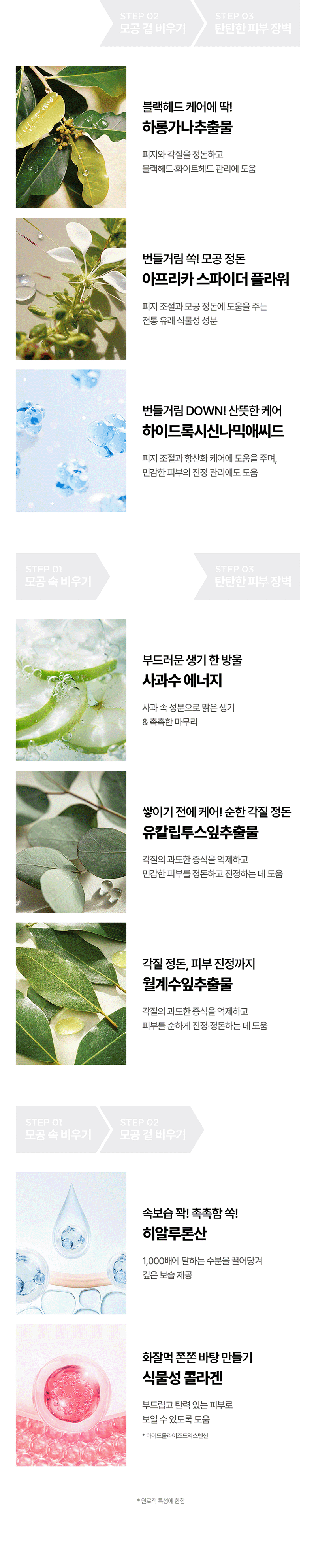 [론지] 핑크 애플 퓨어 폼클렌저 100ml (Pink Apple Pure Foam Cleanser) 상세 21