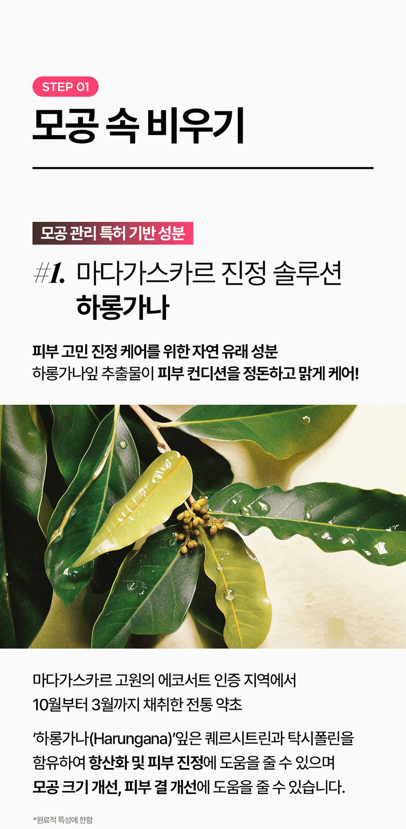 [론지] 핑크 애플 퓨어 폼클렌저 100ml (Pink Apple Pure Foam Cleanser) 상세 22