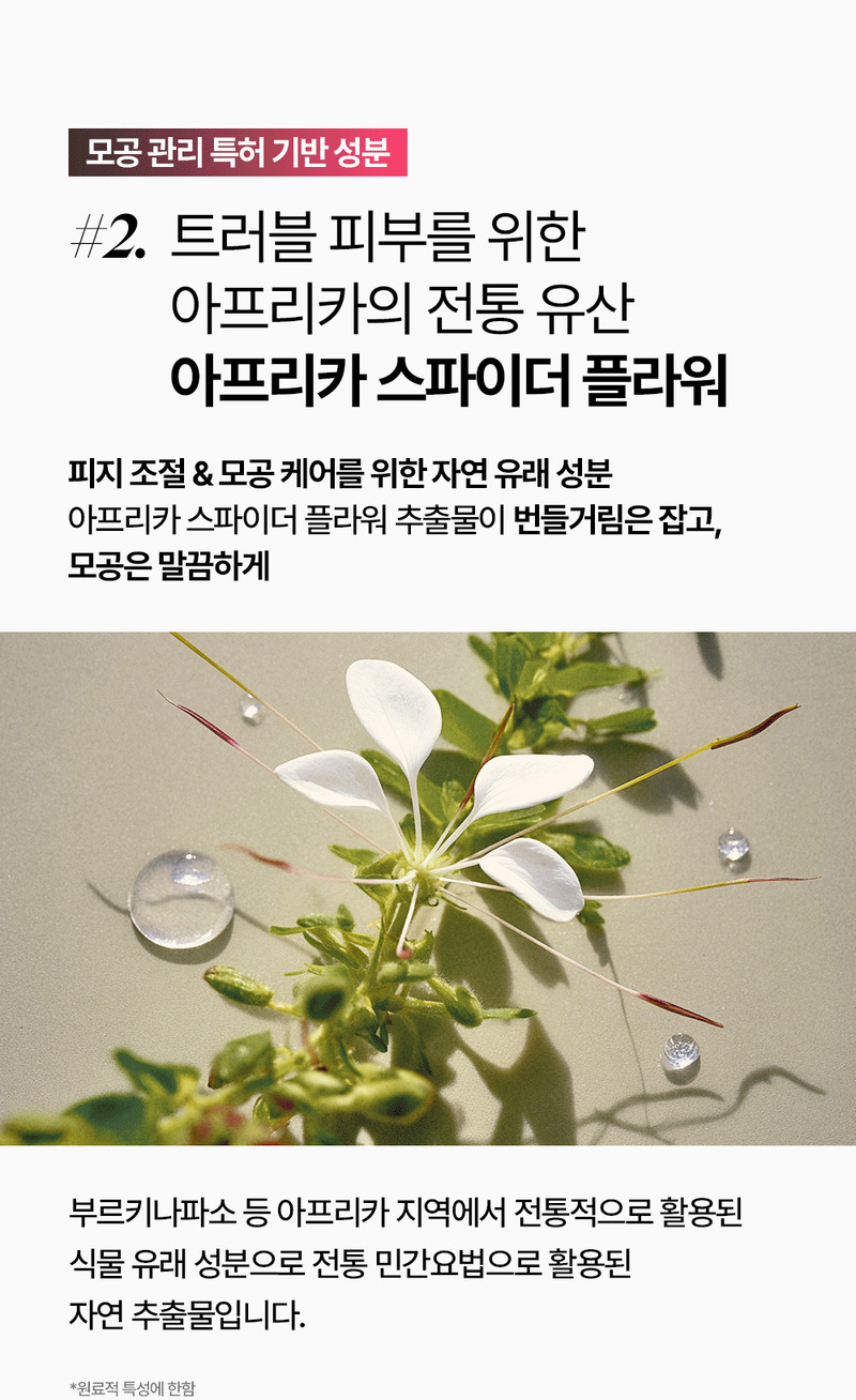 [론지] 핑크 애플 퓨어 폼클렌저 100ml (Pink Apple Pure Foam Cleanser) 상세 23