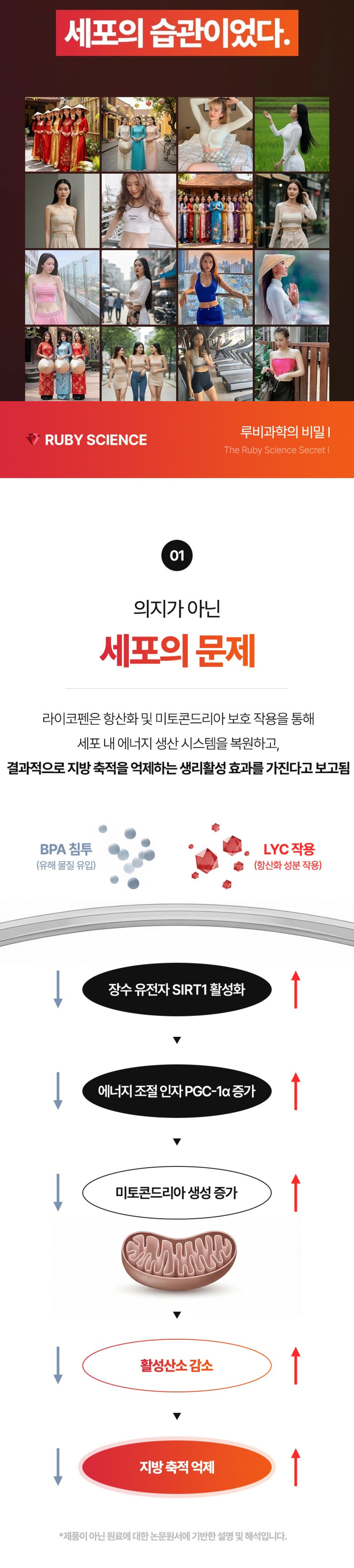 걱밸런스 베타카로틴 라이코펜 식품 보충제 600mg x 60정 상세 12