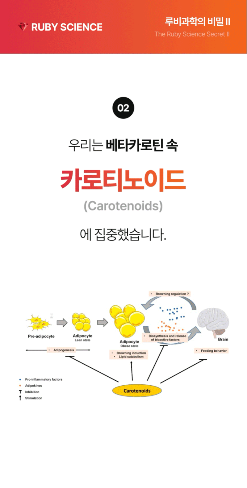 걱밸런스 베타카로틴 라이코펜 식품 보충제 600mg x 60정 상세 14