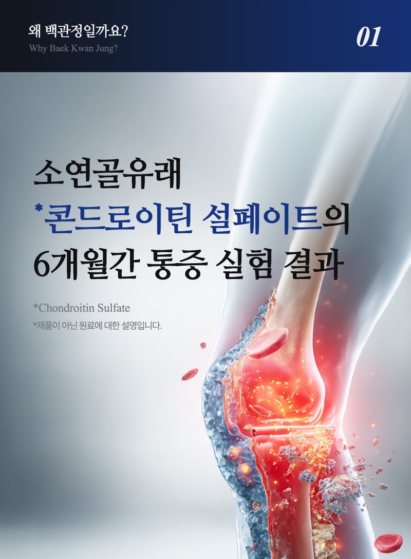 백관정 초심 소연골 콘드로이친 1200 관절 MSM 보스웰리아 MBP 600mg x 60정 상세 13
