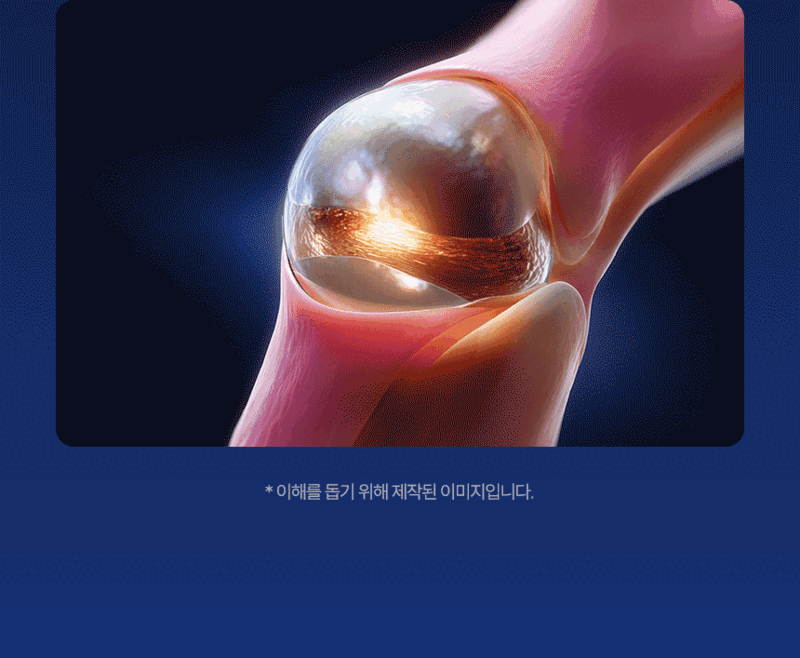 백관정 초심 소연골 콘드로이친 1200 관절 MSM 보스웰리아 MBP 600mg x 60정 상세 21