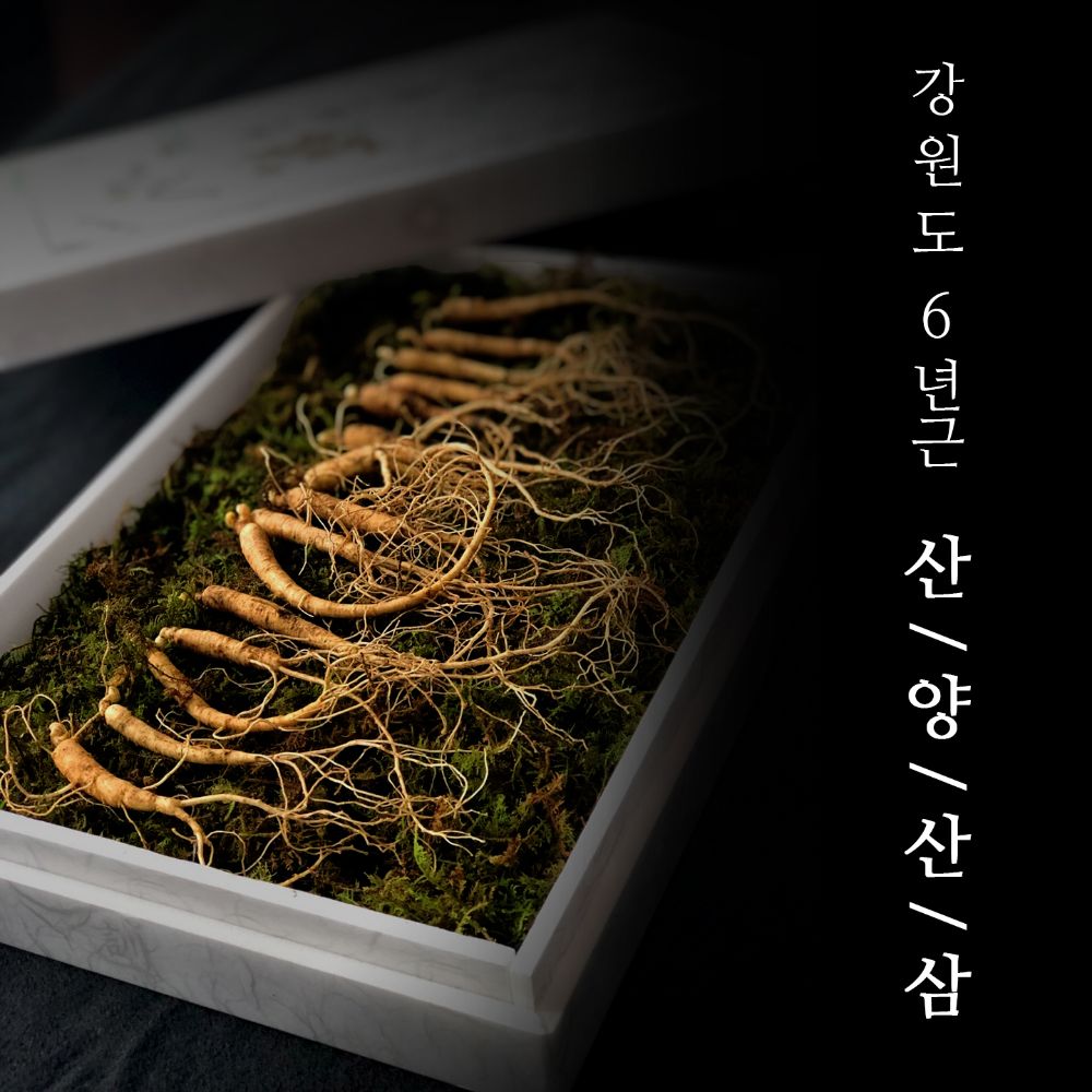 강원도 횡성6년근 산양산삼 50g(실배송 12~24뿌리)