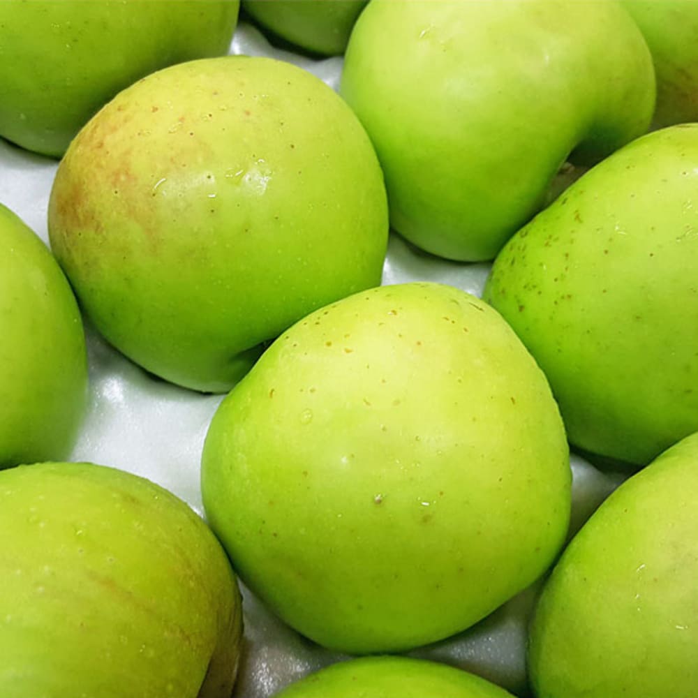 [달옥농산] 초록사과 (아오리 썸머킹) 실속 4.5kg 중소과 (28과 내외)