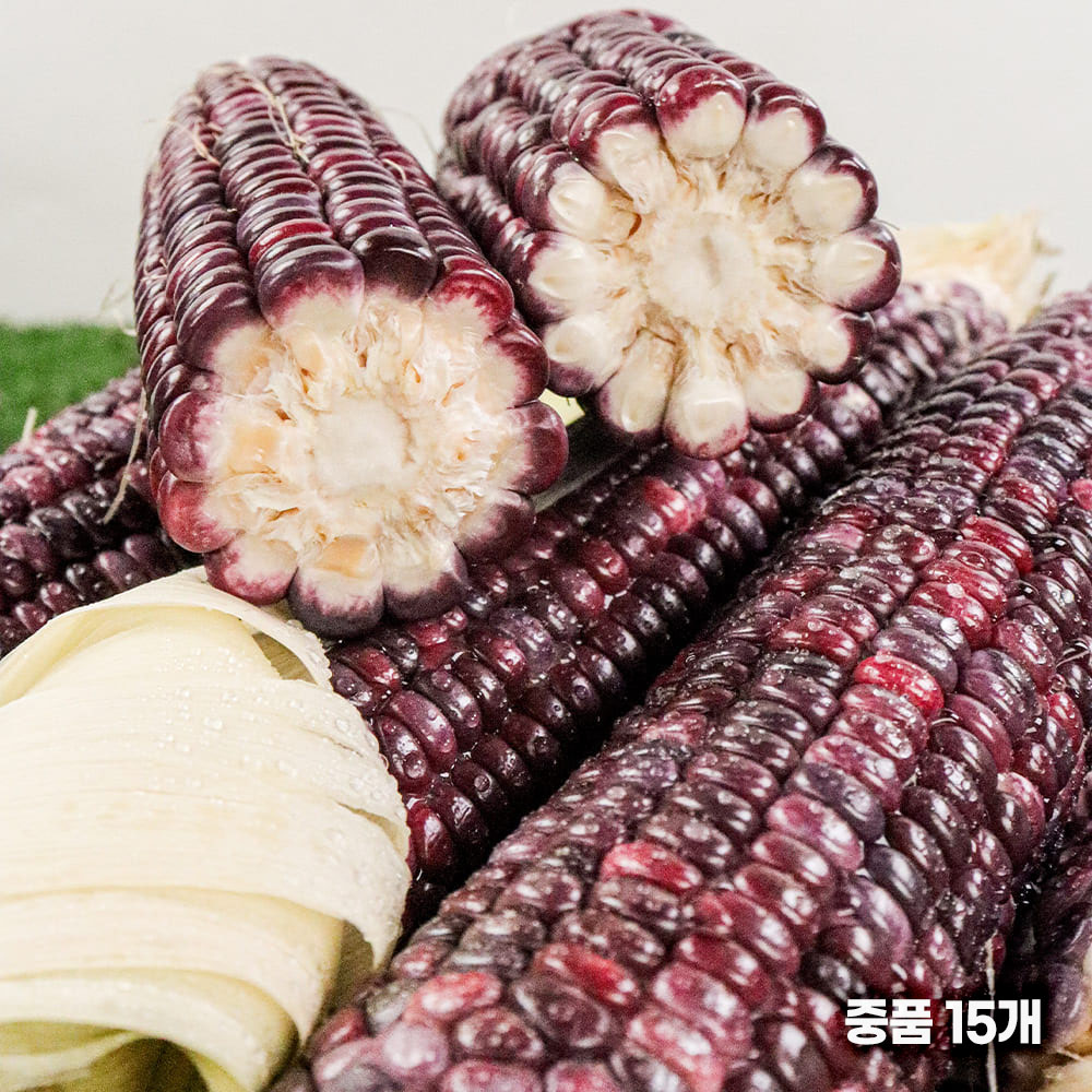 최고의 여름간식! 쫀득쫀득 흑찰옥수수 중품 15개