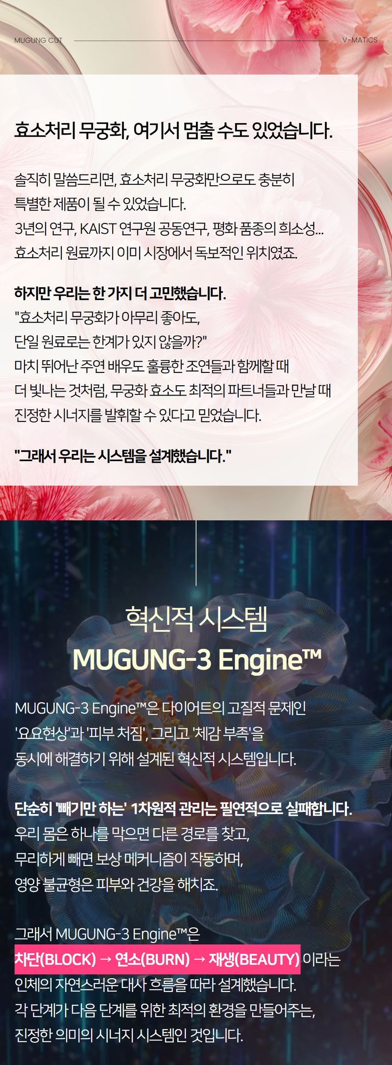 무궁컷(무궁화효소)(3g x 30포) 상세 7