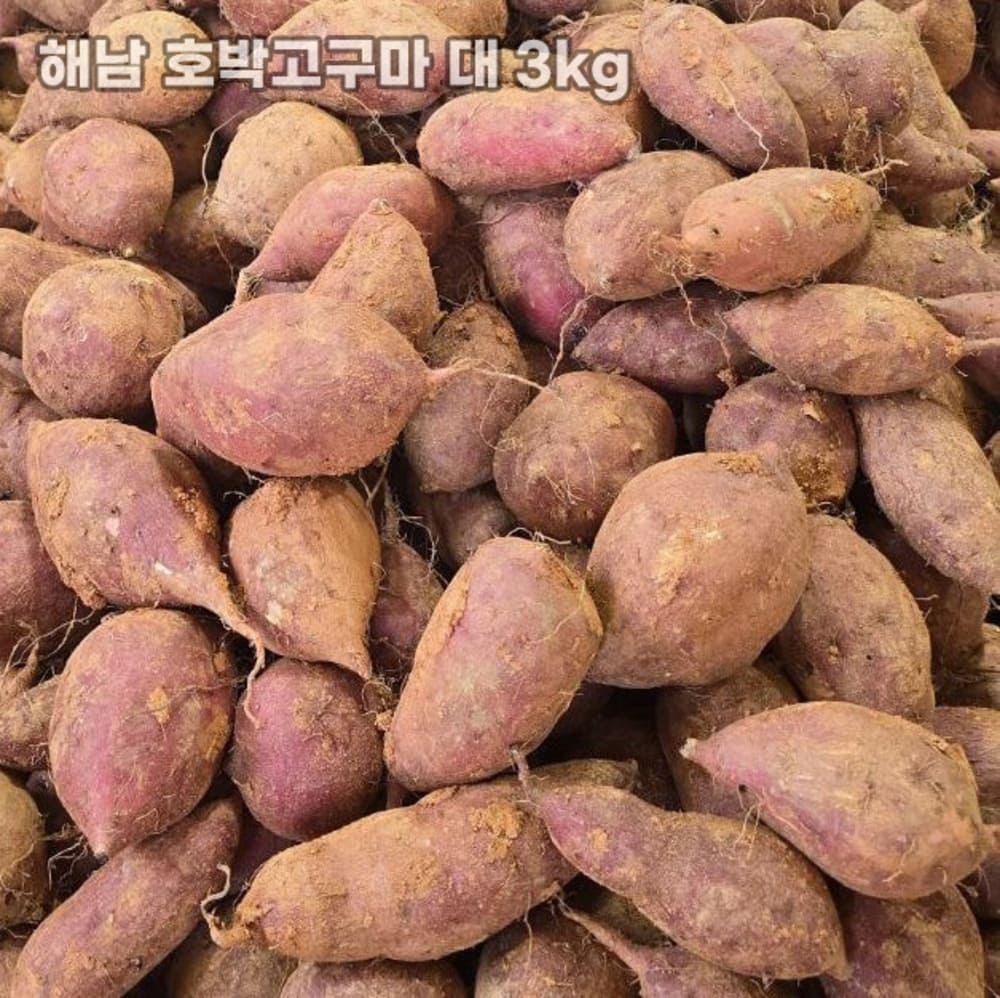농장직송 첫수확 해남 호박고구마 대 3kg