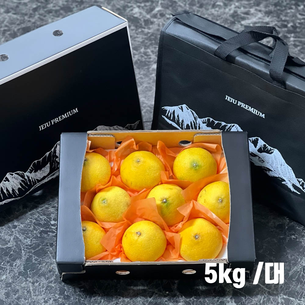 제주직송 프리미엄 황금향 선물세트 5kg - 대
