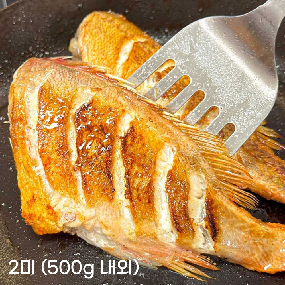 [청년농가] 구이용 손질 특대열기 2미 (500g 내외)