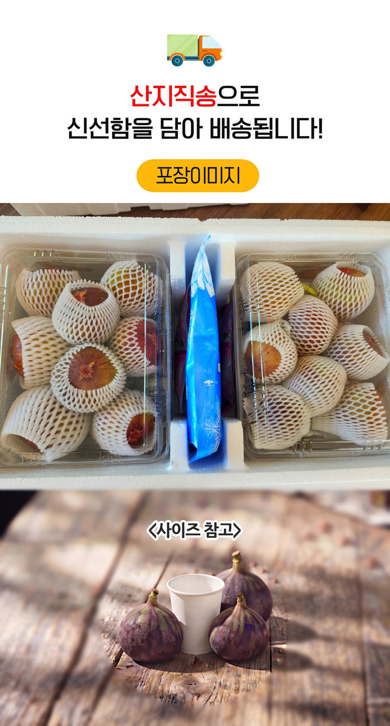 해남별 고당도 해남 당일수확 햇 홍무화과 2kg 상세 12