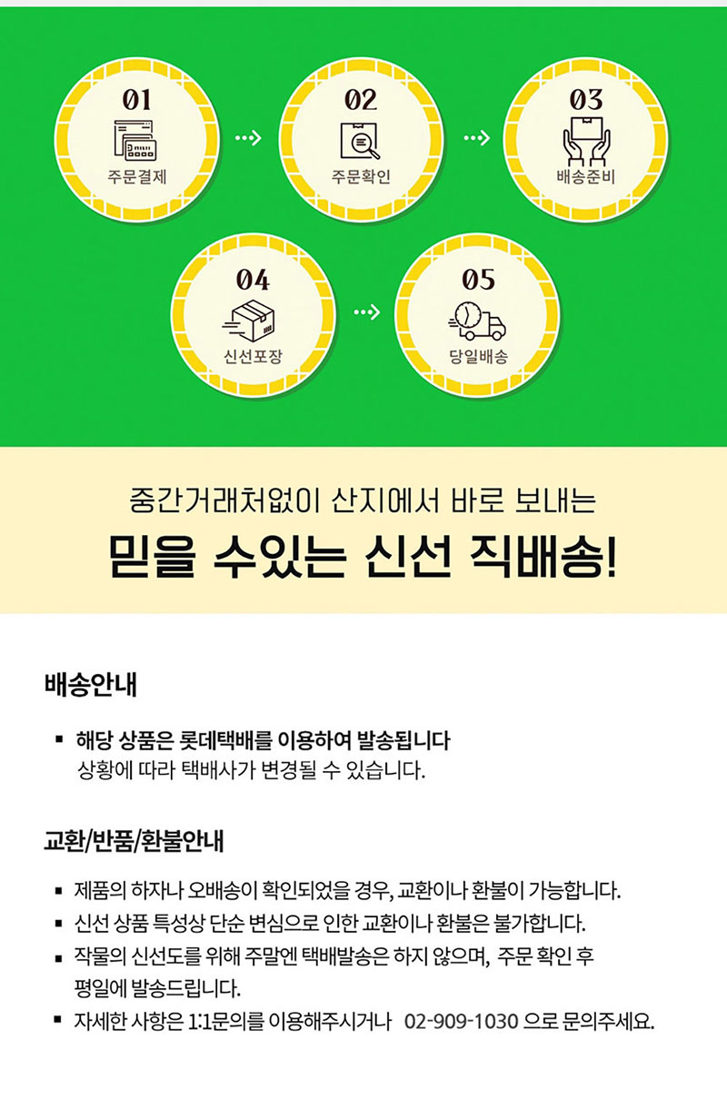 해남별 고당도 해남 당일수확 햇 홍무화과 2kg 상세 14