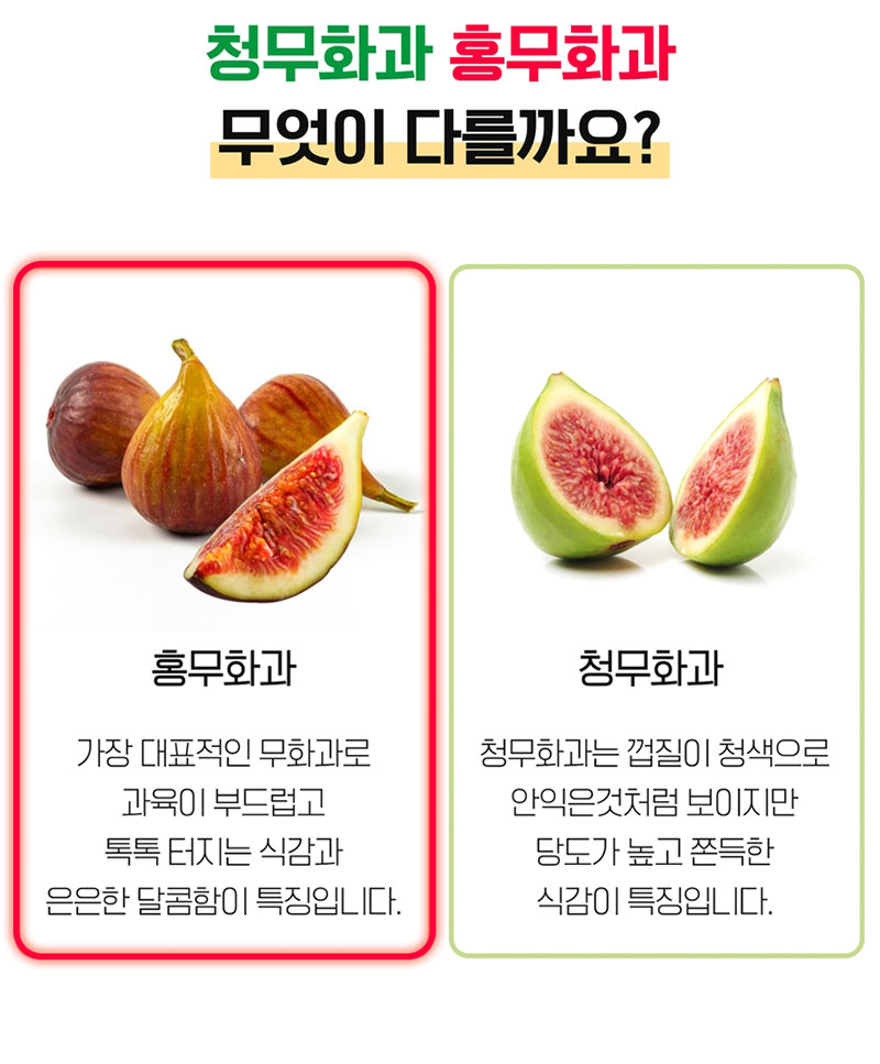 해남별 고당도 해남 당일수확 햇 홍무화과 2kg 상세 6