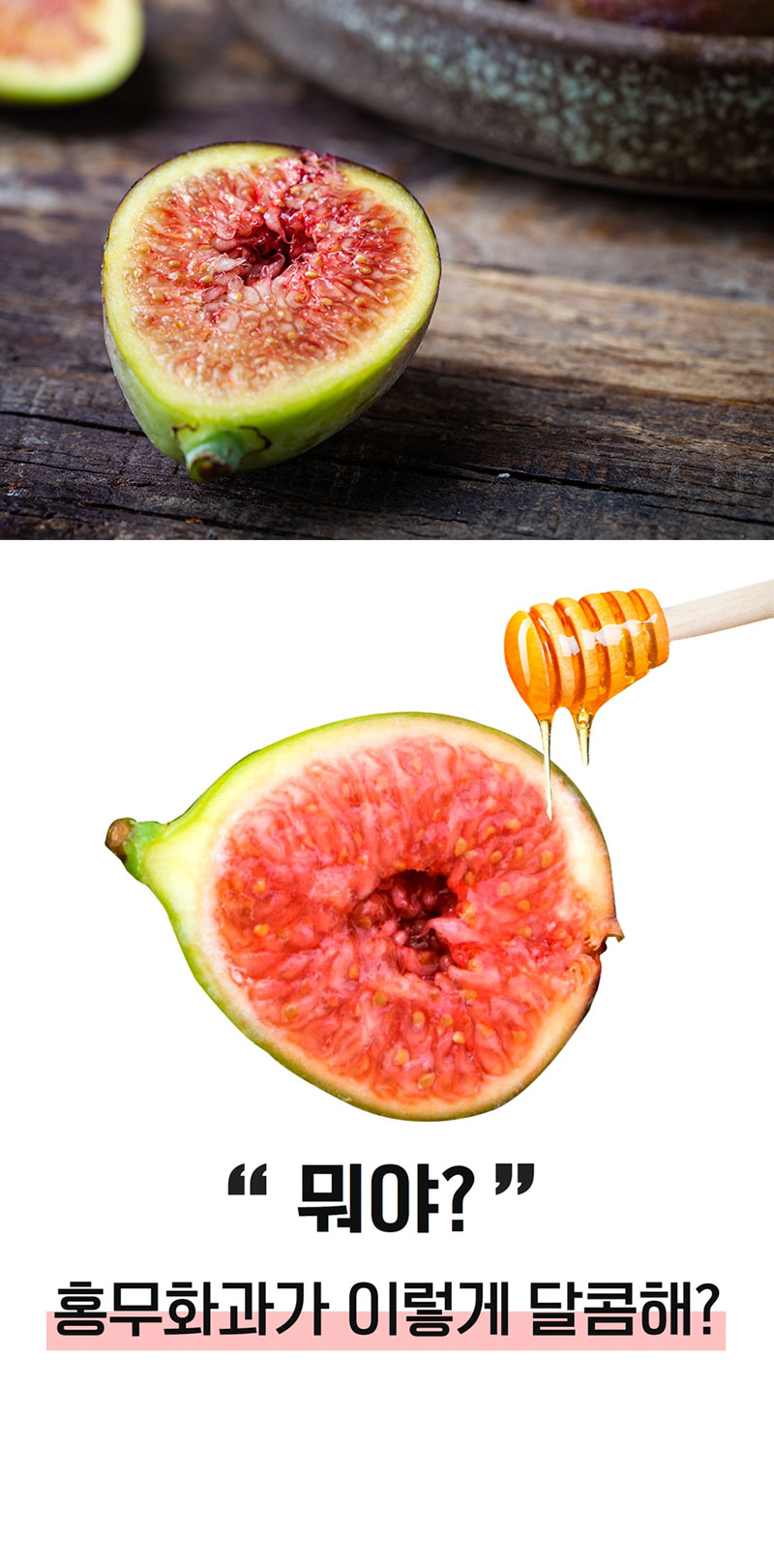 해남별 고당도 해남 당일수확 햇 홍무화과 2kg 상세 7