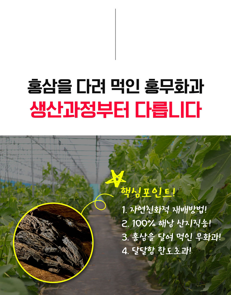 해남별 고당도 해남 당일수확 햇 홍무화과 2kg 상세 8