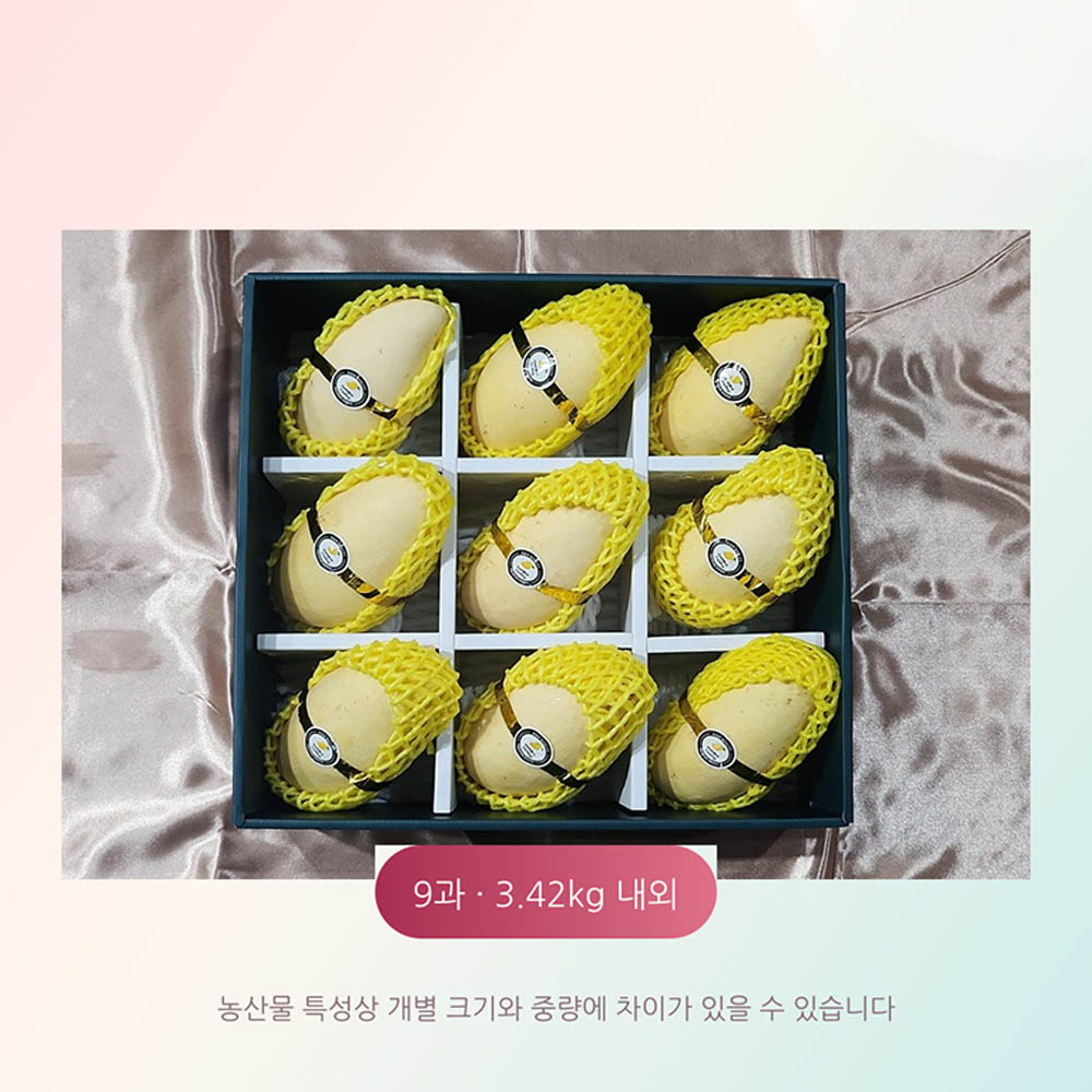 [선물세트] 골드망고 9입 (3.42kg내외)(보자기)