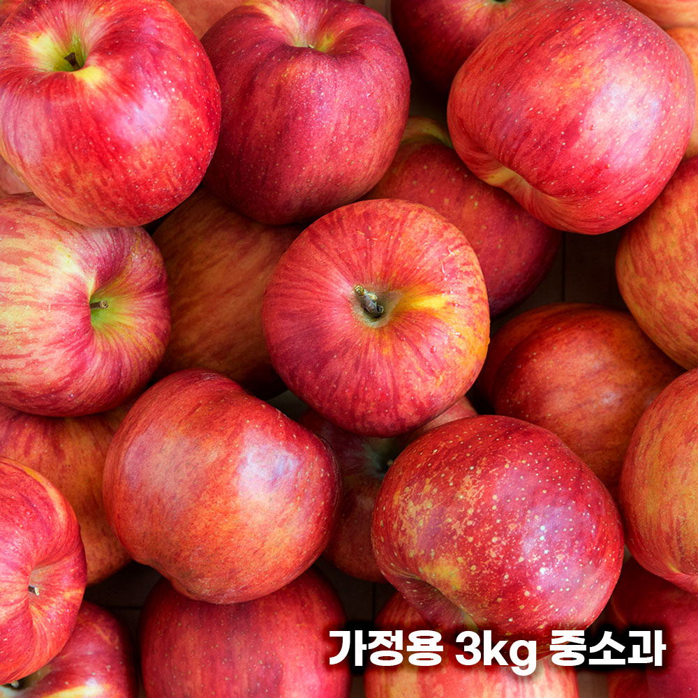 26년 햇 빨간사과 홍로 사과 가정용 3kg 중소과 16과 내외