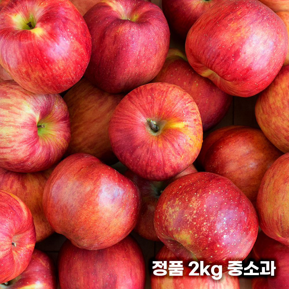 26년 햇 빨간사과 홍로 사과 정품 2kg 중소과 12과 내외 (개별망)