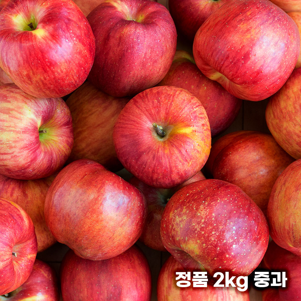 26년 햇 빨간사과 홍로 사과 정품 2kg 중과 8과 내외 (개별망)