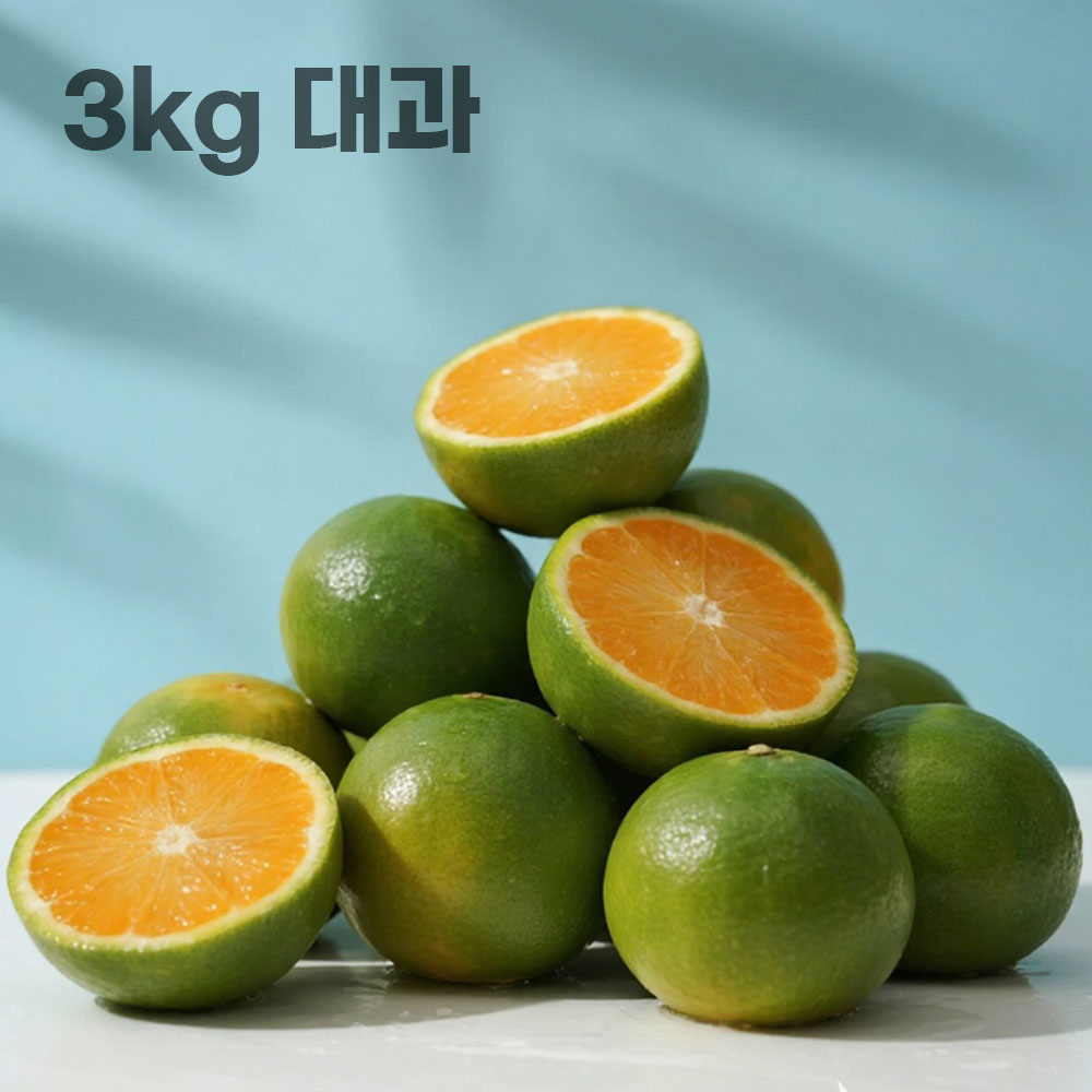 26년 제주직송 극조생 노지감귤 3kg 대과