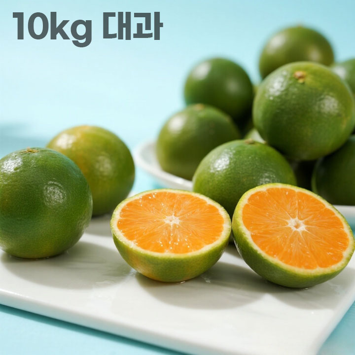 26년 제주직송 극조생 노지감귤 10kg 대과