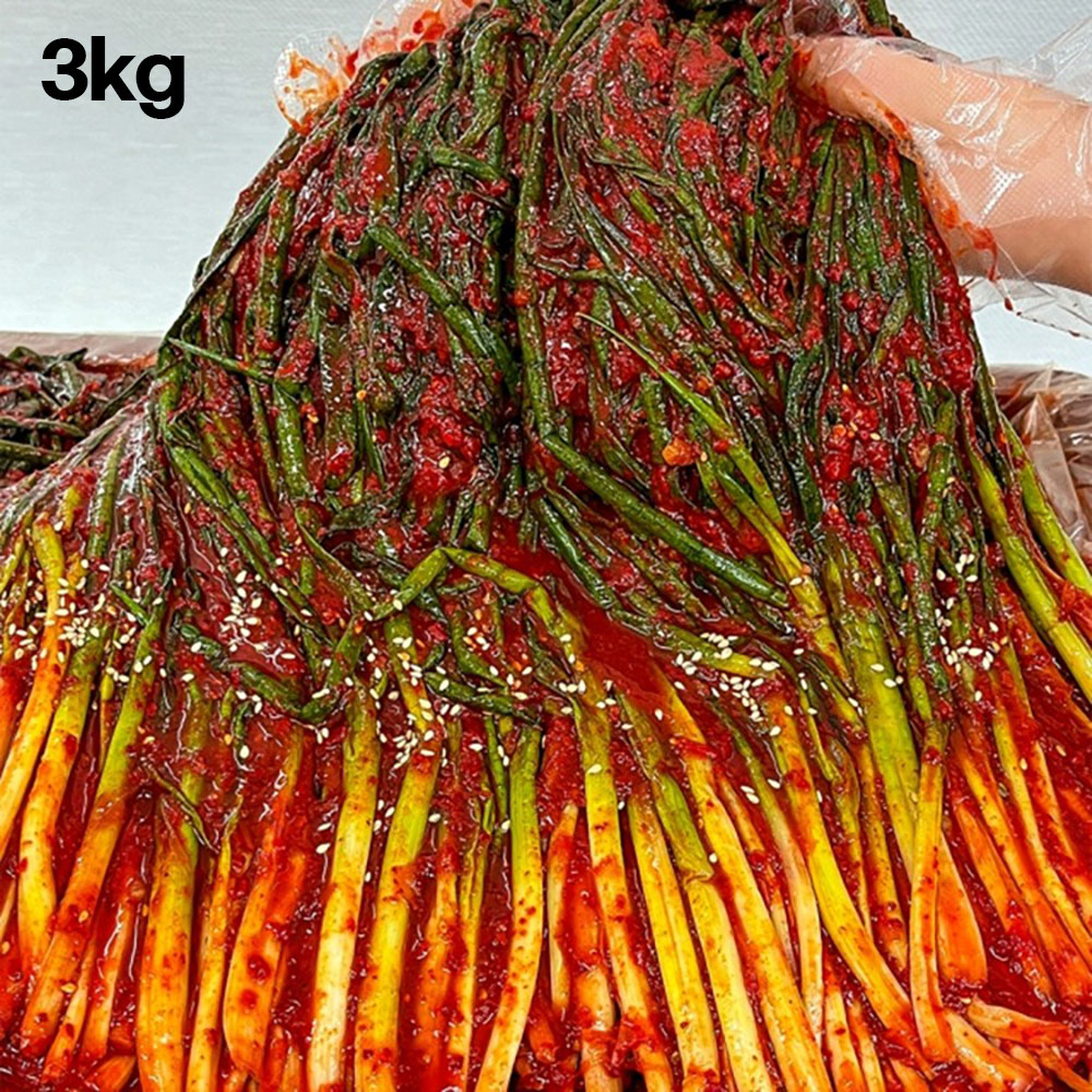 [맛있는집밥] 전라도 수제 파김치 3kg