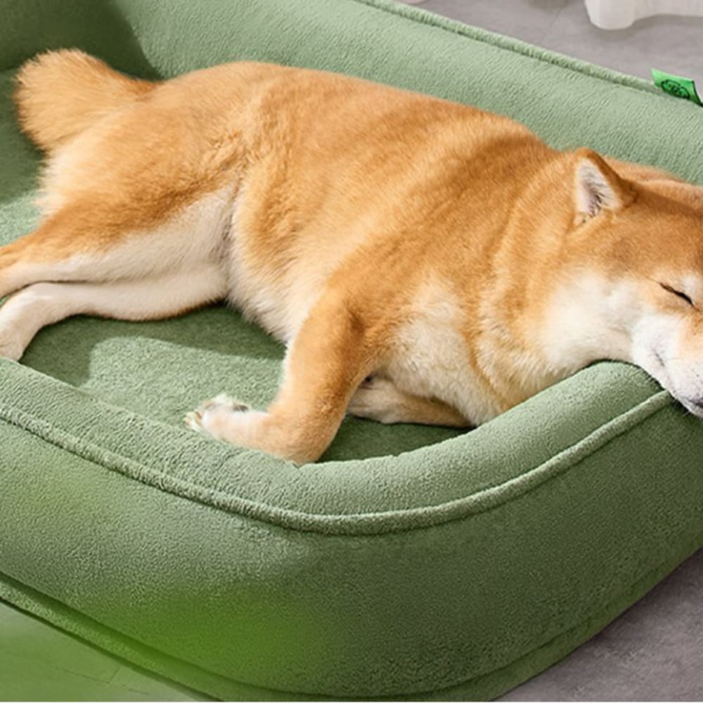 [개과천선] 몬포아 강아지 쿠션 고양이 방석 그린 2XL