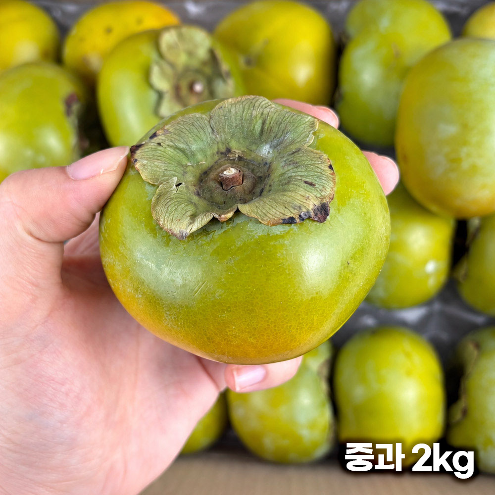 태추단감 가정용 중과 2kg (10-13과 내외)