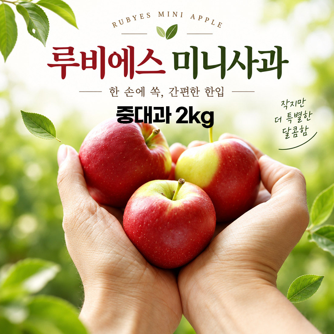 경북 루비에스 미니사과 중대과 2kg (50g-60g 내외)