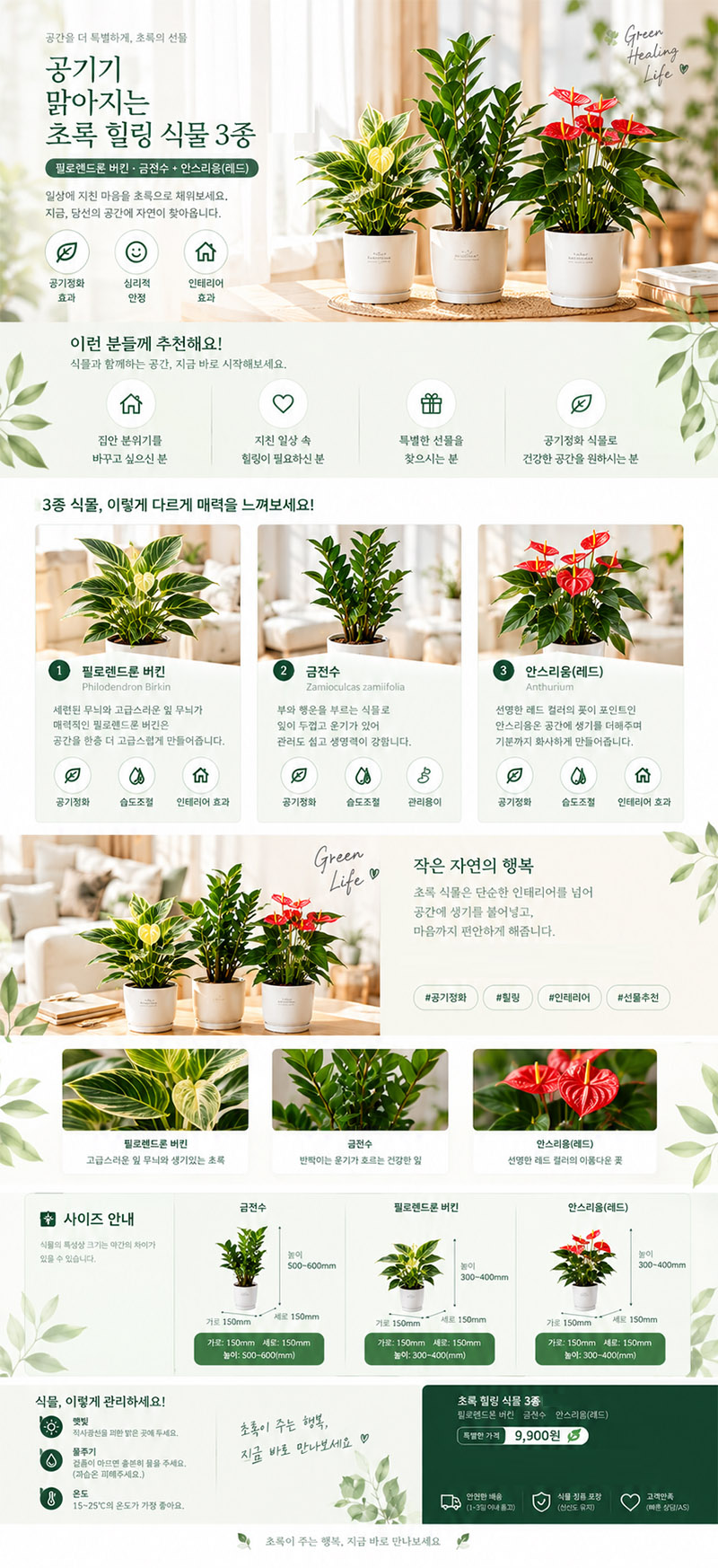 공기가 맑아지는 초록 힐링 식물 3종 상세 1