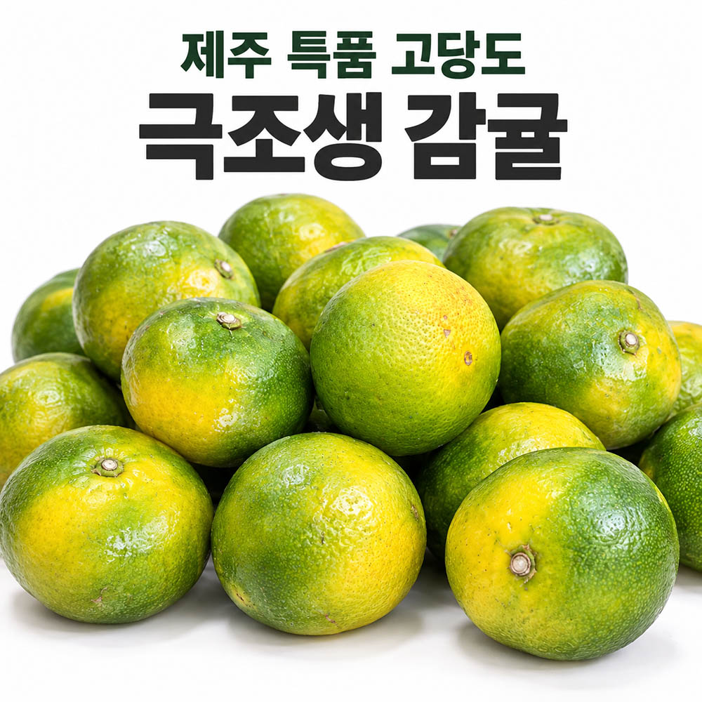 제주 특품 고당도 극조생 감귤 2.5kg 로얄과(2s-m)