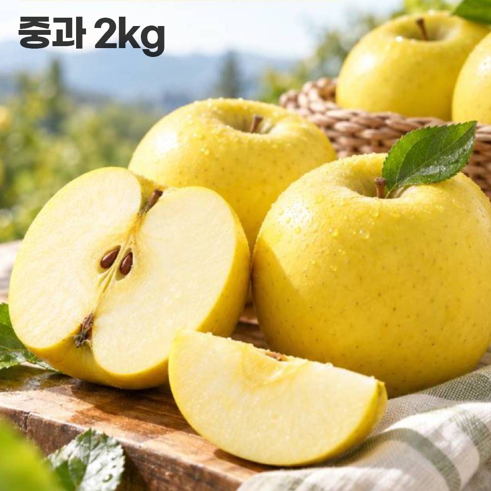 시나노골드 정품(중과) 2kg(10~13과)