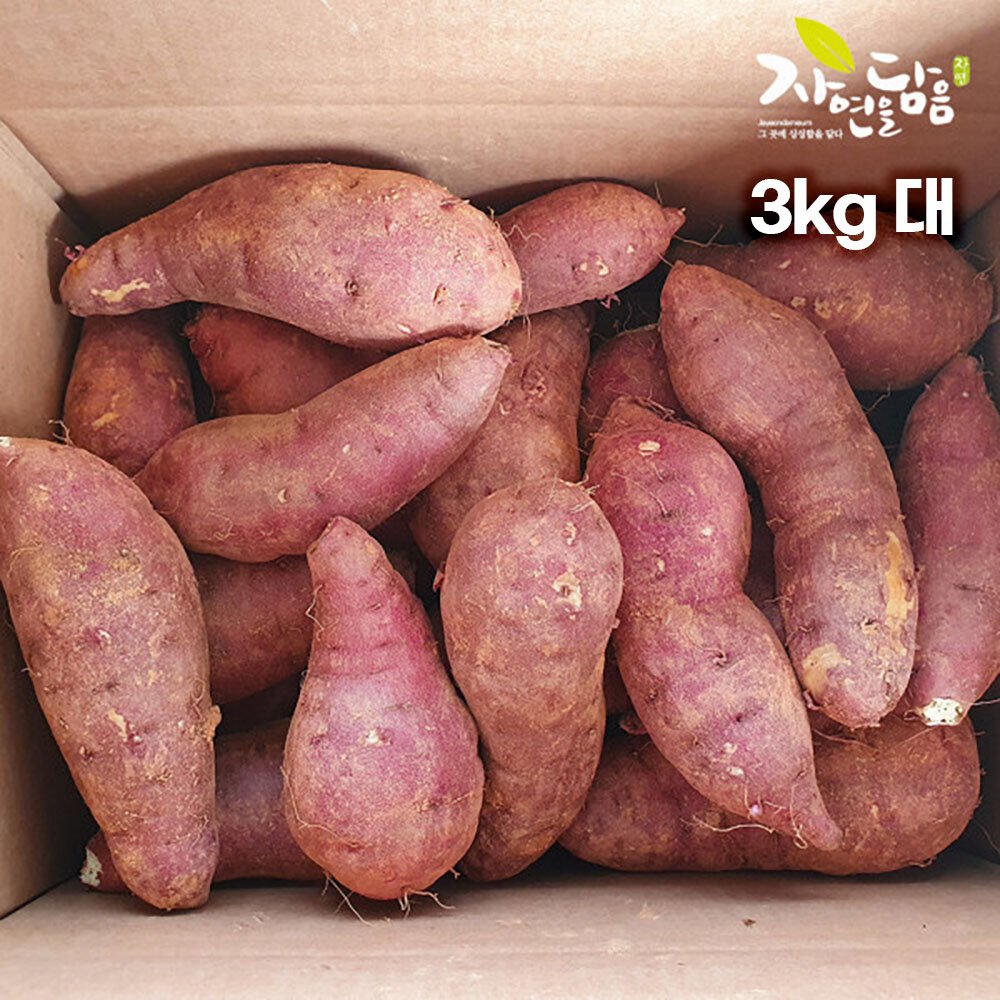 [해남별] 해남 호박고구마 3kg 대