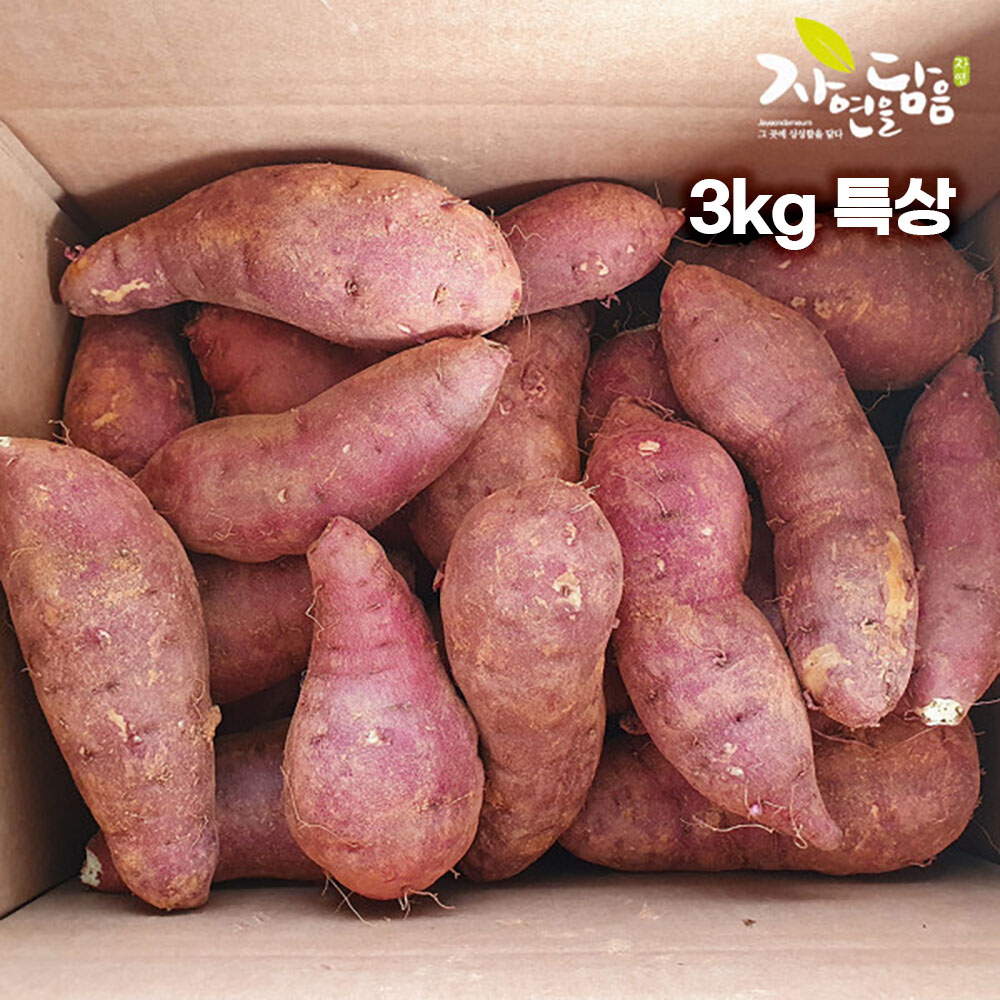 [해남별] 해남 호박고구마 3kg 특상