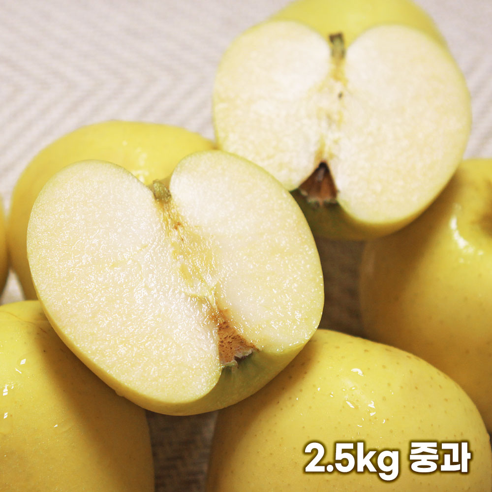 [달옥농산] 황금빛사과 시나노골드 실속 2.5kg 중과 (11~12과)