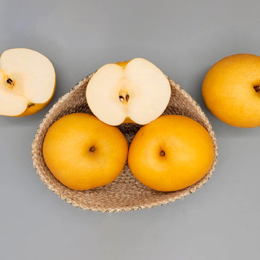 25년산 햇 배 나주 원황배 정품 5개 (개당 420~600g 대특과)