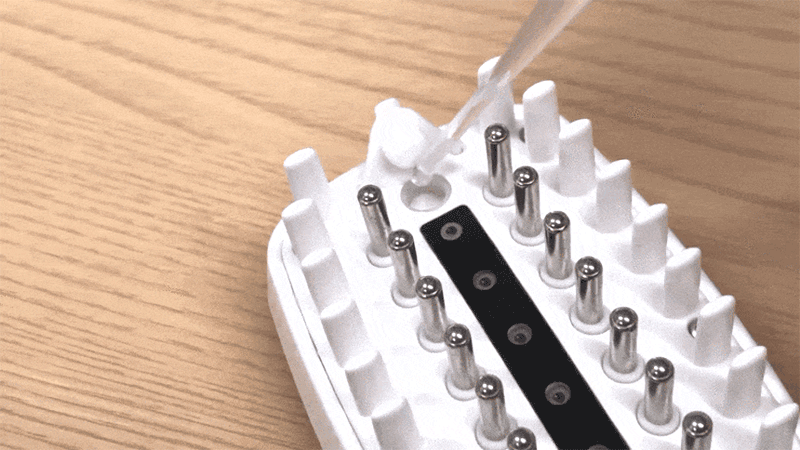 bj2_8-d.gif