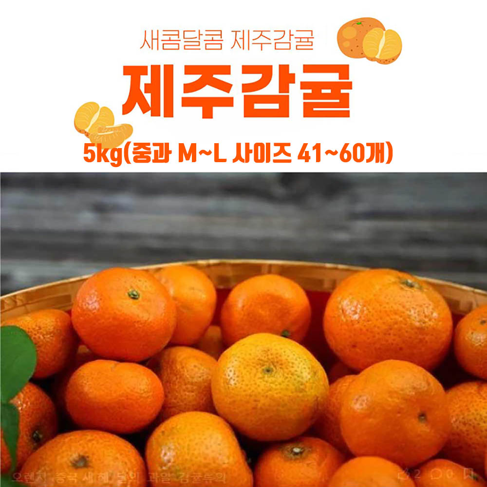 서귀포 햇 감귤 5kg(중과 M~L 사이즈 41~60개)