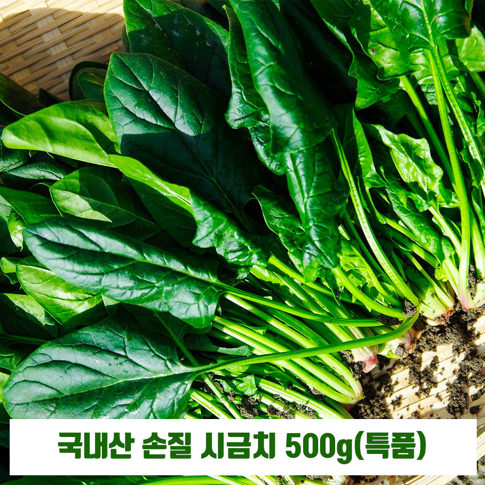 국내산 손질 시금치 500g(특품)