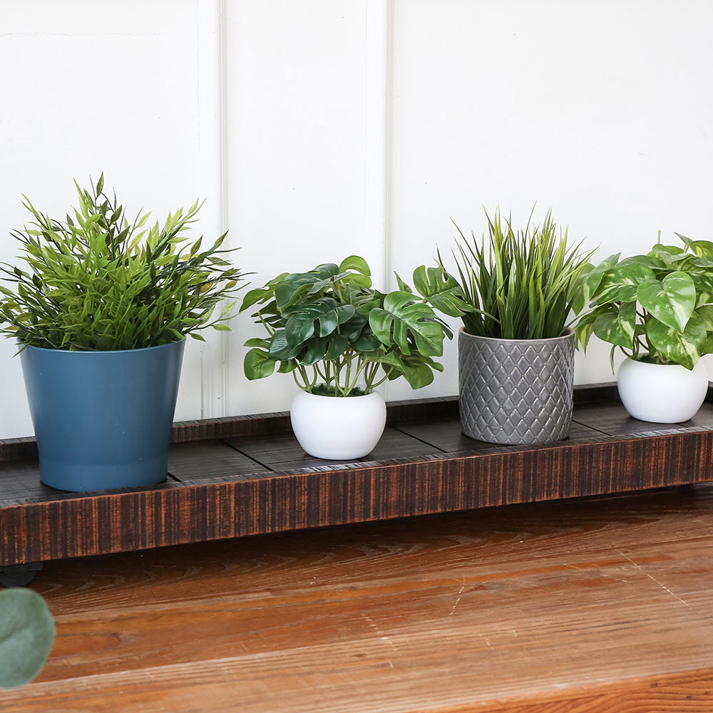 삼림목 마호가니 원목 화분대 직사각형