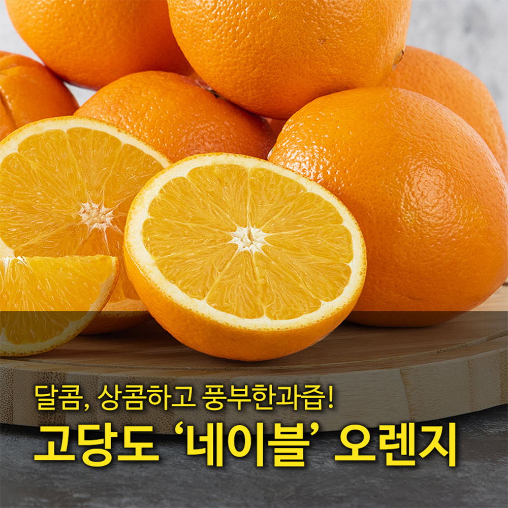 [수입과일] 호주산 고당도 네이블 오렌지 88과 17kg (중과)